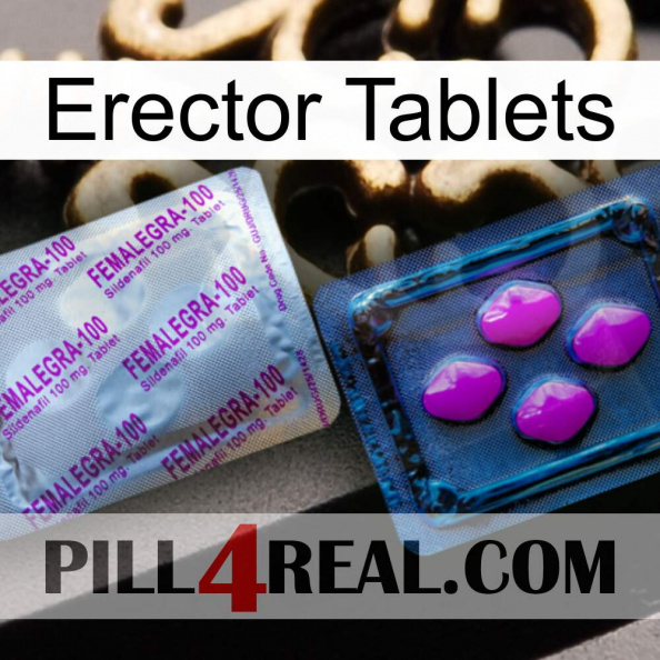 Erector Tablets 37.jpg